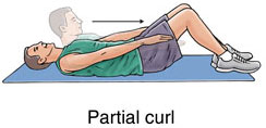 partial curl